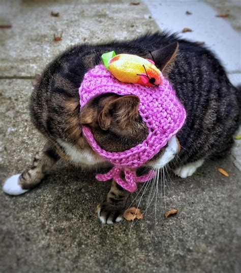 Halloween Costume Cat Hat Pet Hat With Mouse Crochet Unique Etsy