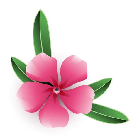 Bunga Jepun Ilustrasi Grafik Vektor And Clip Art Bebas Royalti Istock