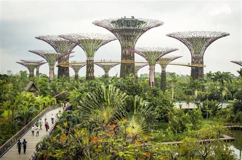 Singapores Futuristic Gardens The Globe And Mail