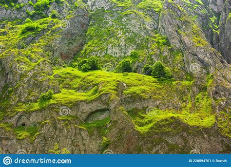 Mountain Slope Overgrown With Green Grass Stock Image Image Of Europe