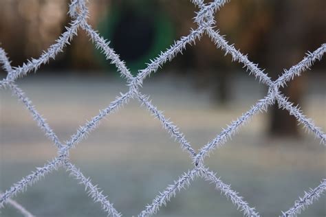 Free Images Water Branch Cold Winter Dew Fence Frost Ice