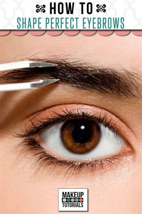 Diy Makeup How To Shape Perfect Eyebrows The Best Guide For Beginners