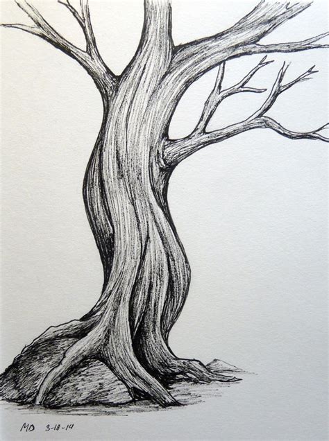 how to draw jamun tree paulsherryconversionvans