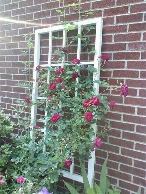 How To Use Your Old Windows For Making Trellises Diy Garden Trellis