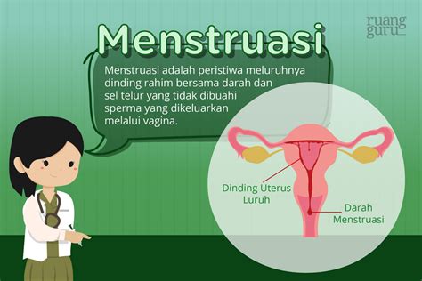 Kenapa Perempuan Yang Sudah Menstruasi Bisa Hamil Biologi Kelas 9