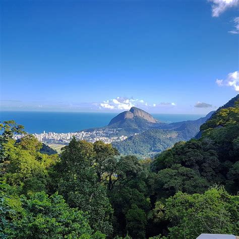 Parque Nacional Da Tijuca Río De Janeiro Lo Que Se Debe Saber Antes