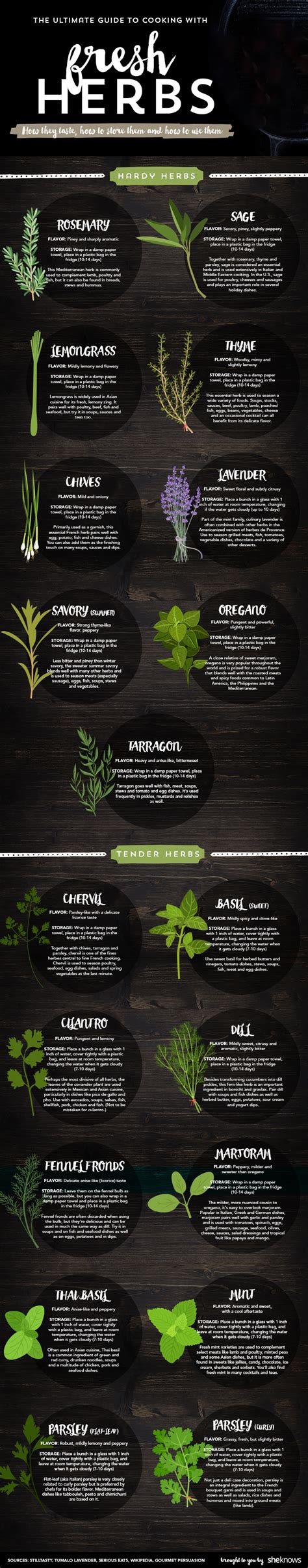 Popular Fresh Herbs For Cooking Their Tastes And Best Uses Infographic