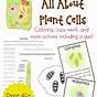 Plant Cells For 5th Graders
