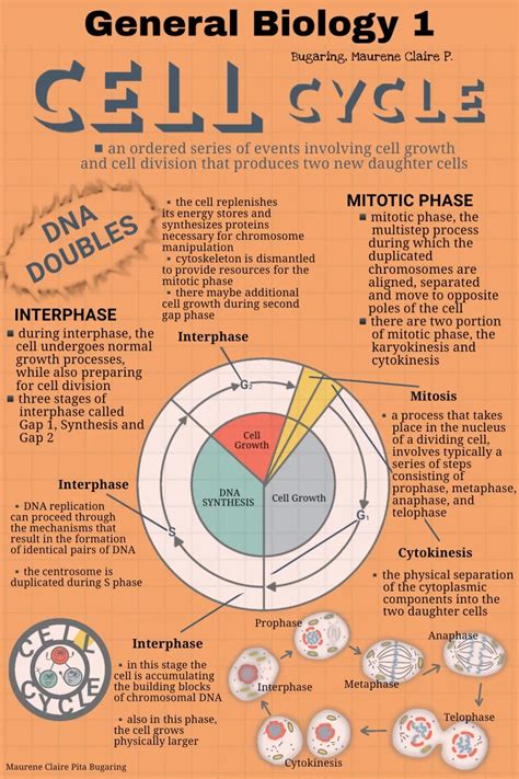 About Cell Cycle Infographic Learn Physics Basic Physics Physics