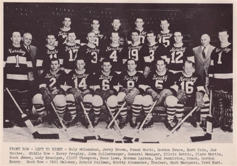 Hershey Bears Team Photo 1948 American Hockey League Hockeygods