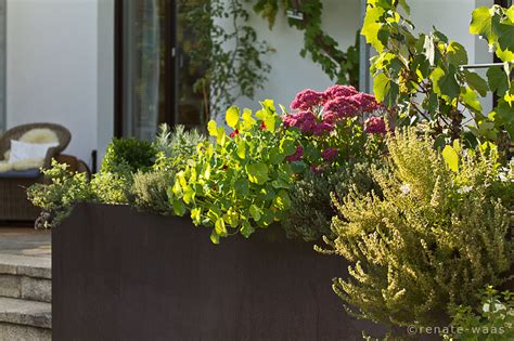 Gärten für geniesser, pflegeleichte gärten, pflegeleichter landhausgarten, pflegeleichte blumenbeete, gartendesign, gartengestaltung, gartendesigner, felsenbirne, kleine gehölze. Gartenblog Geniesser-Garten : Corten Stahl Pflanztrog