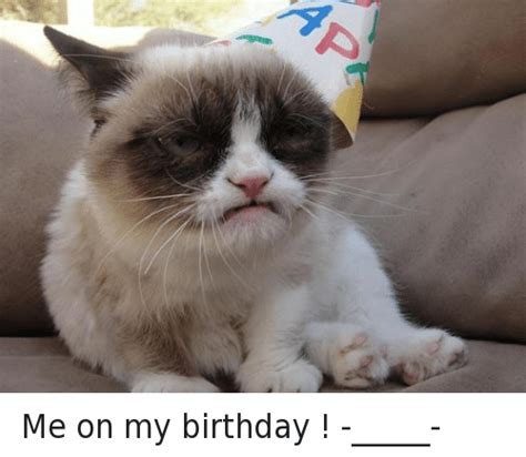 Provide your cat with extra bedding. Me on My Birthday ! -_____- | Birthday Meme on SIZZLE