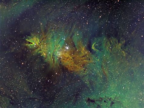 The Cone And Fox Fur Nebula In Sho Astronomy Magazine Interactive