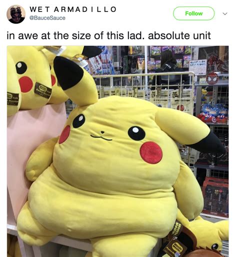 Big Pikachu Absolute Unit Know Your Meme