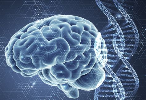 GenesBrainBehavior Sapien Labs Neuroscience Human Brain Diversity Project