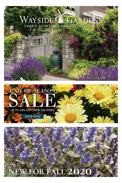 Sitewide coupons work on everything. Wayside Gardens Catalog & Coupon Code