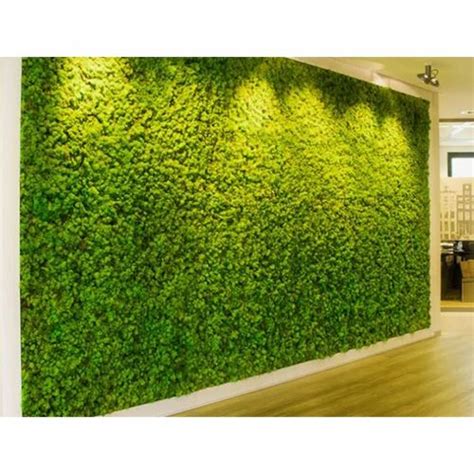 Vertical Artificial Green Wall आर्टिफिशियल हरी दीवार आर्टिफिशियल
