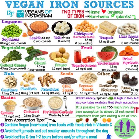 vegan sources of iron infographic 22 vegan sources of iron