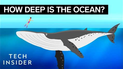 How Deep The Ocean Really Is Youtube