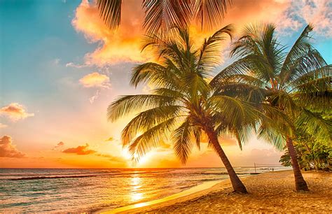 Tropical Paradise Beach Palms Sea Ocean Sunset Tropical