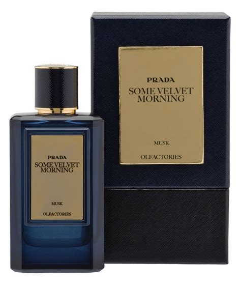 Olfactories Some Velvet Morning By Prada Reviews Perfume Facts
