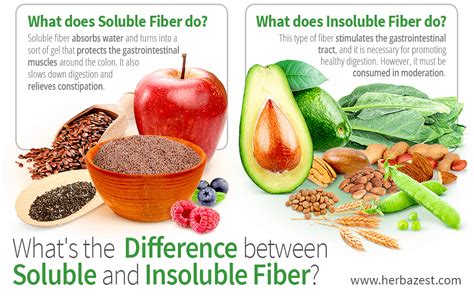 Whats The Difference Between Soluble And Insoluble Fiber They Are Two