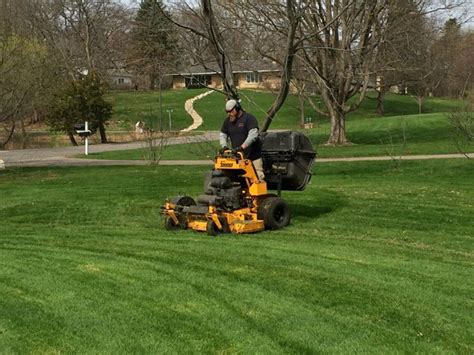 Spring Lawn Clean Up