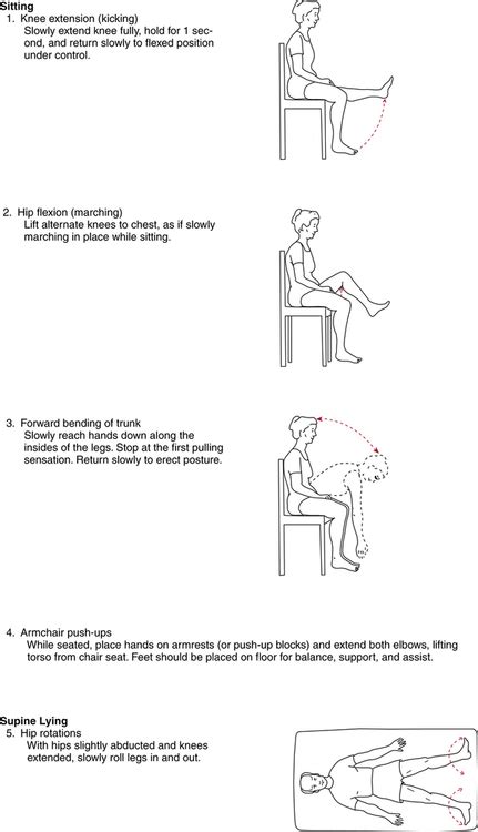 Orthopedic Management Of The Hip And Pelvis Musculoskeletal Key