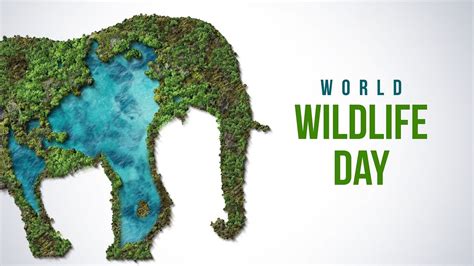 World Wildlife Day 2024 Date Theme Origin History Importance How