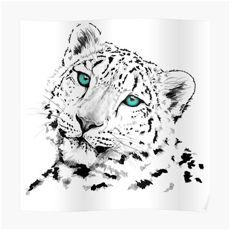 Snow Leopard Face Poster For Sale By Mayakiwi Redbubble