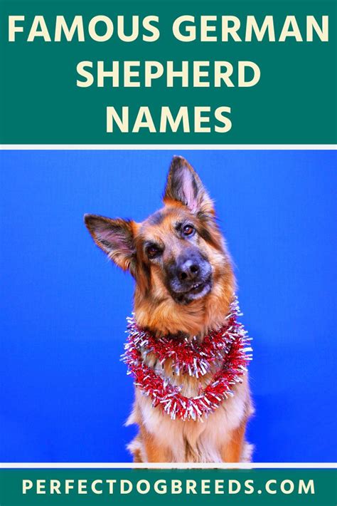 Famous German Shepherd Names In 2020 Dog Names German Shepherd Names
