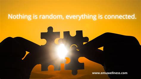 Nothing Is Random Everything Is Connected Emu Wellness