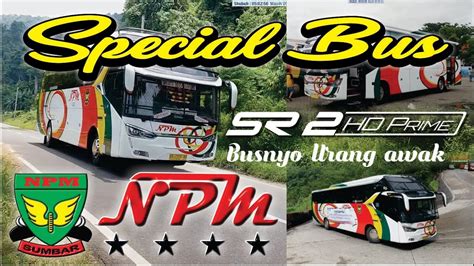 Check spelling or type a new query. BUS NPM TERBARU || Khusus special bus NPM SR2 - YouTube