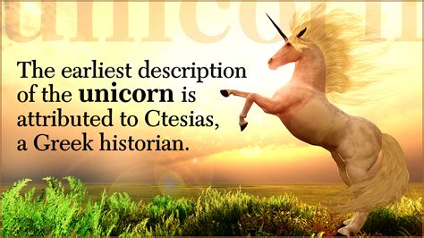 Facts About Unicorn Mysticurious