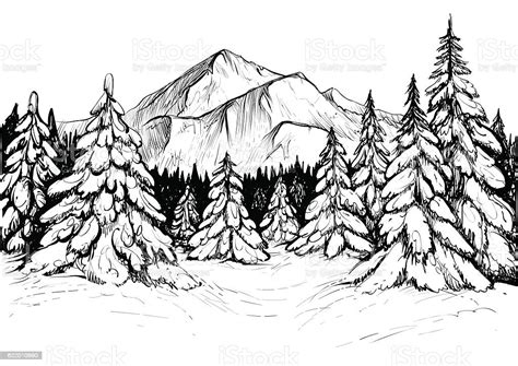Winter Forest In Mountains Sketch Stock Illustration Download Image