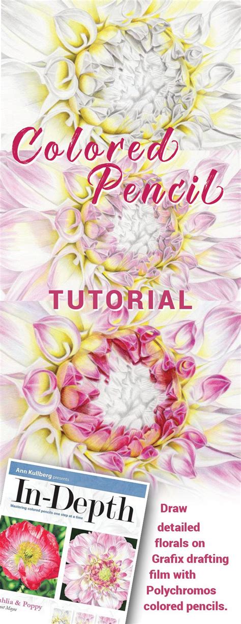 Dahlia And Poppy In Depth Tutorial Flower Drawing Tutorials Flower