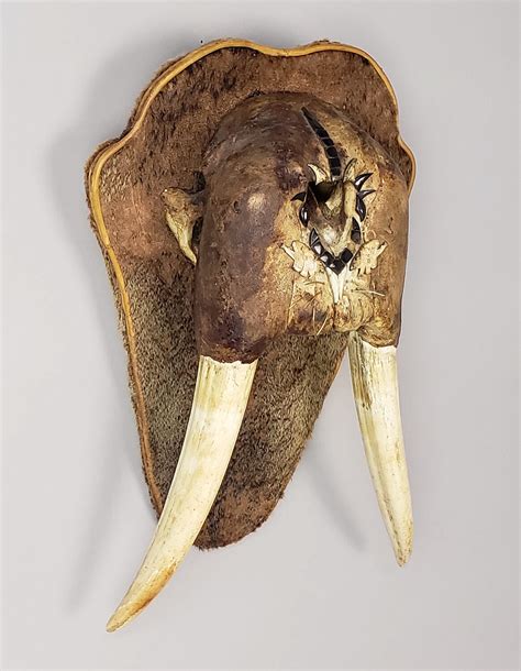 Antique Inuit Mounted Walrus Tusk Mask Antique Inuit Mounted Walrus