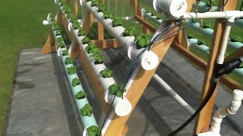 Hydroponics Growing System Homemade Pvc For Beginners Homemade Ftempo