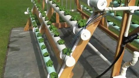 While there are virtually hundreds of types of hydroponics systems, there are three that are easy to set up and maintain. Hydroponics Growing System Homemade Pvc For Beginners ...