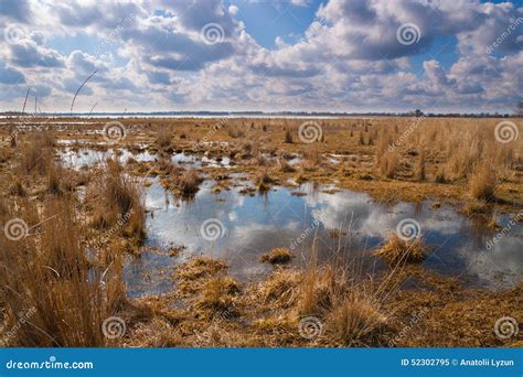 Flooded Meadows In Early Spring Stock Image Image Of Cloudy Pond