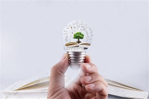 Knowledge In The Light Bulb Creative Imagepicture Free Download
