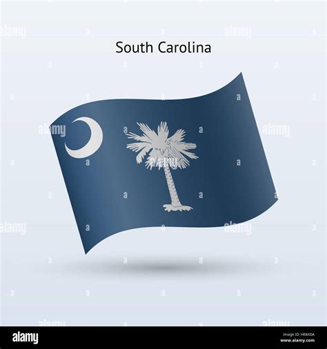 State Of South Carolina Flag Waving Form On Gray Background Vector