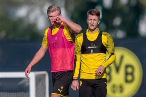 Profispiel seine treffer 101 und 102. Borussia Dortmund Team News: Haaland and Reus take part in ...