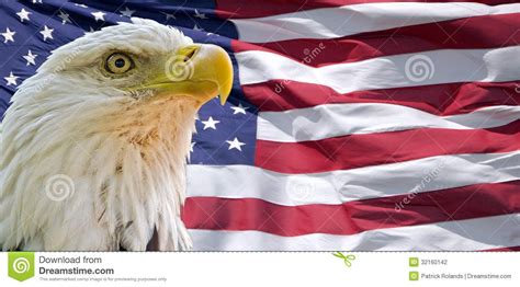 High Resolution American Flag Eagle Wallpaper Bald Eagle Wallpaper Hd