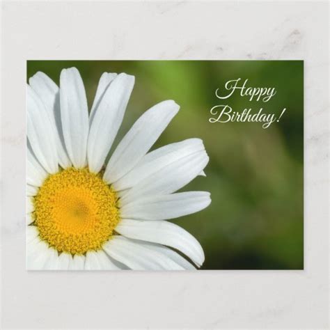 Offset Daisy Happy Birthday Postcard Zazzle Com