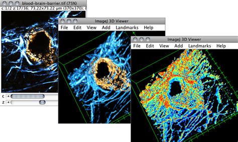 Imagej инструкция на русском Руководства Инструкции Бланки