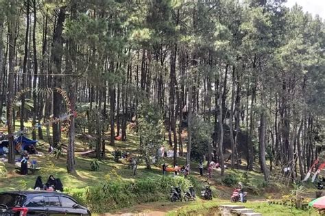 Pijar Park Kudus Wisata Hutan Pinus Di Lereng Muria Yang Buka Sampai