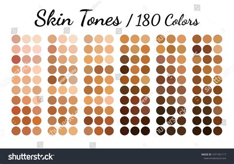 Collection Color Palette Skin Tones Flat Stock Vector Royalty Free