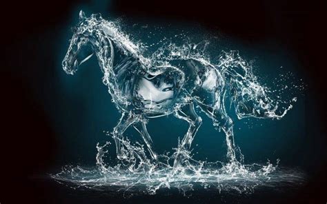 Water Horse 3d Wallpapers Hd Desktop And Mobile Backgrounds