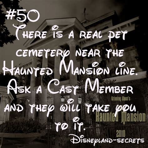 Disneyland Secret Disneyland Secrets Disney Secrets Disney Tips